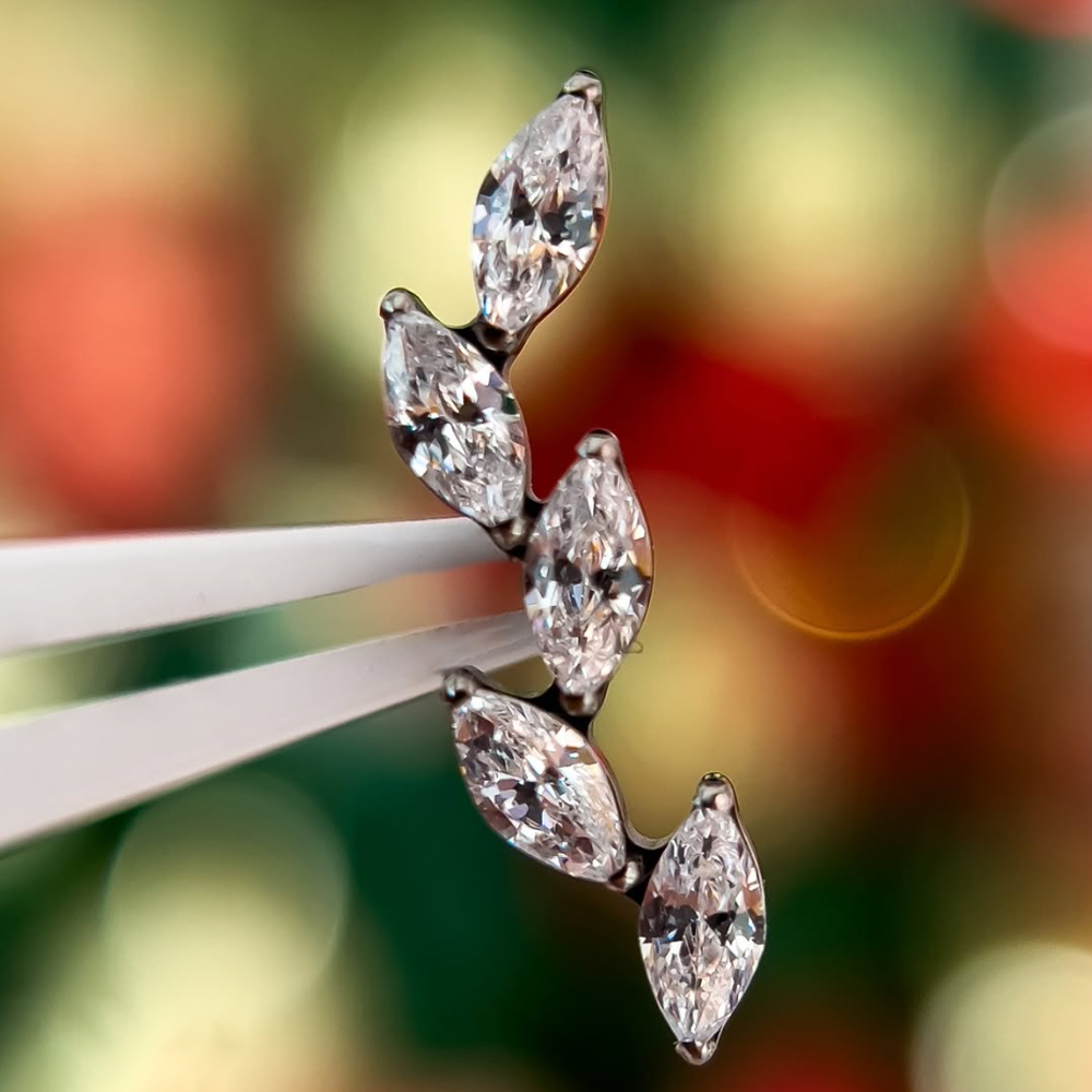 حلق أذن من التيتانيوم G23 عيار - مراجعة Cluster Stud Ear وسعره