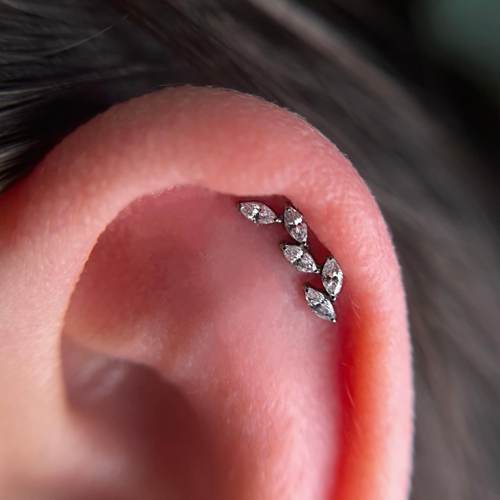 حلق أذن من التيتانيوم G23 عيار - مراجعة Cluster Stud Ear وسعره