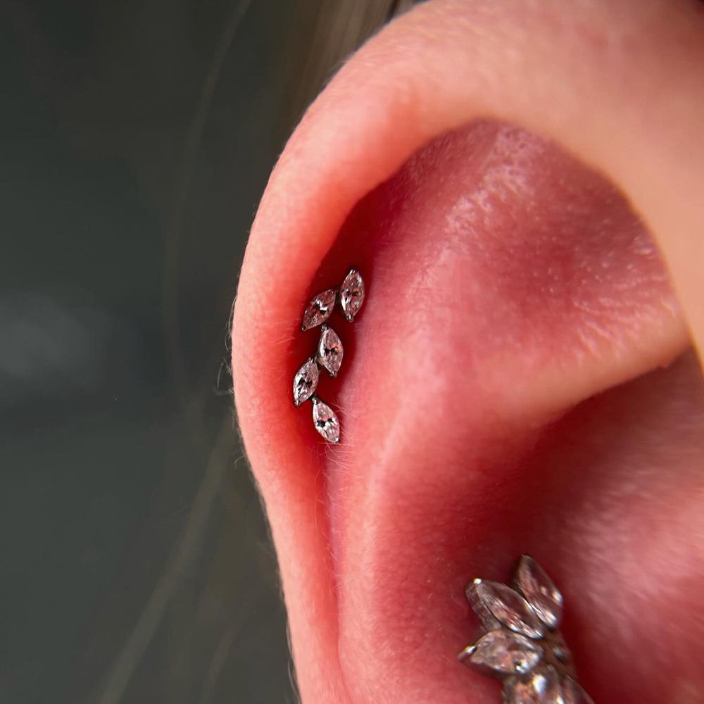 حلق أذن من التيتانيوم G23 عيار - مراجعة Cluster Stud Ear وسعره
