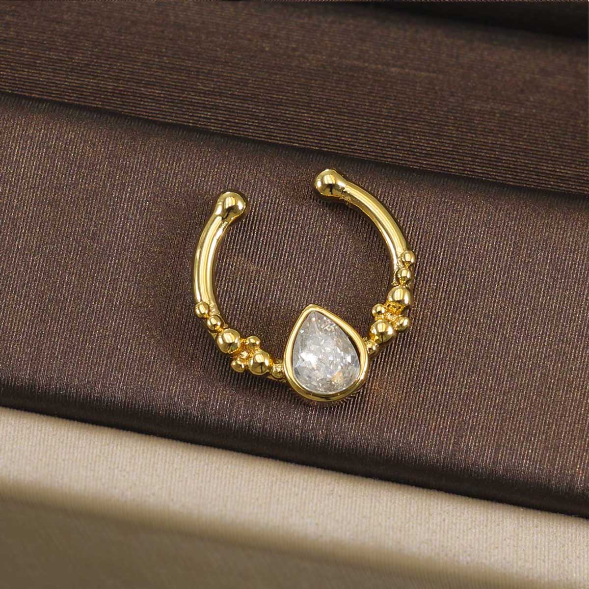 حلقة سيبتوم من الفولاذ المقاوم - مراجعة Body Jewelry Septum وسعره