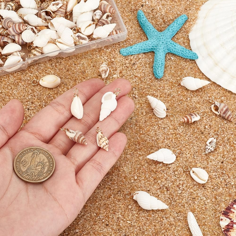100 قطعة 4 أنماط قذيفة الطبيعي - مراجعة Body Jewelry Beach وسعره