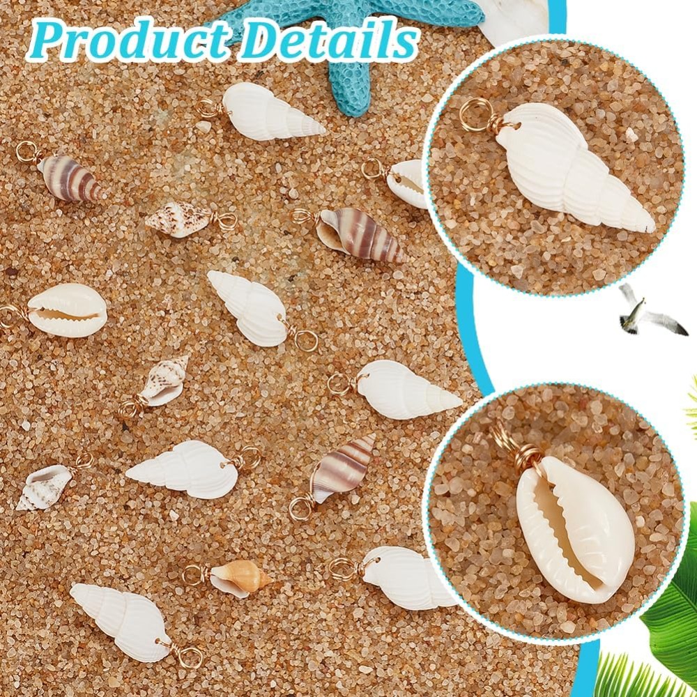 100 قطعة 4 أنماط قذيفة الطبيعي - مراجعة Body Jewelry Beach وسعره