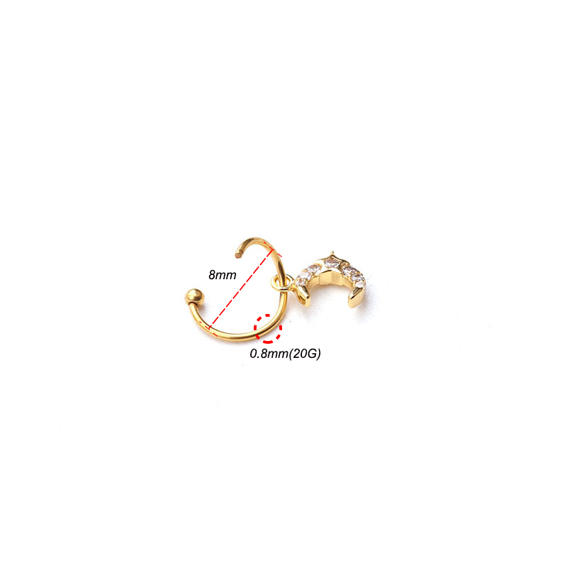 1 قطعة حلقة عالمية طارة الأذن  - مراجعة Body Jewelry Universe وسعره
